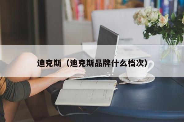 迪克斯（迪克斯品牌什么档次）