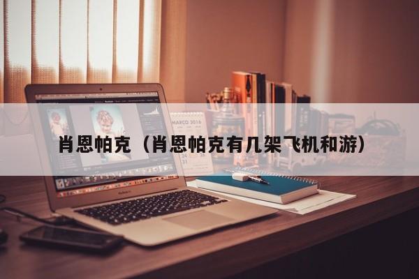 肖恩帕克（肖恩帕克有几架飞机和游）
