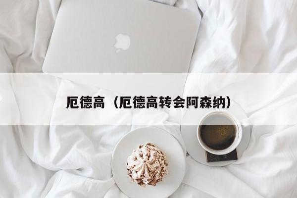 厄德高（厄德高转会阿森纳）