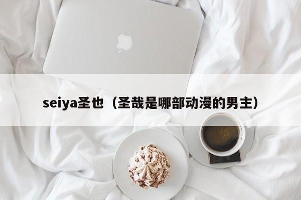 seiya圣也（圣哉是哪部动漫的男主）