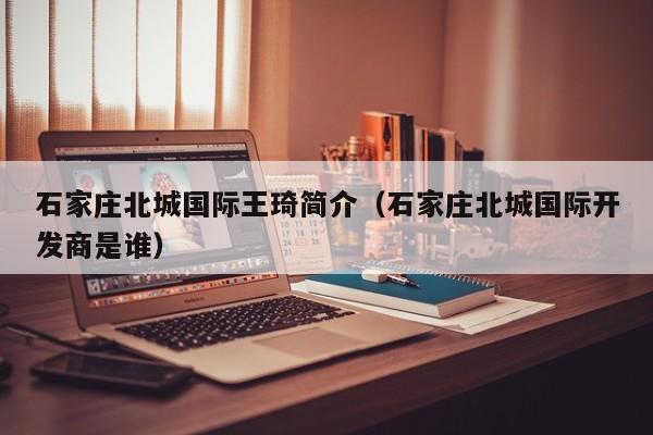 石家庄北城国际王琦简介（石家庄北城国际开发商是谁）