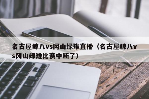 名古屋鲸八vs冈山绿雉直播（名古屋鲸八vs冈山绿雉比赛中断了）