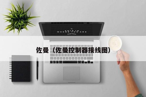 佐曼（佐曼控制器接线图）