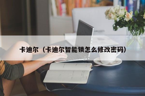 卡迪尔（卡迪尔智能锁怎么修改密码）