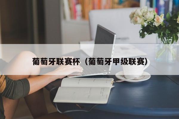 葡萄牙联赛杯（葡萄牙甲级联赛）
