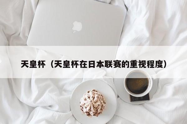天皇杯（天皇杯在日本联赛的重视程度）