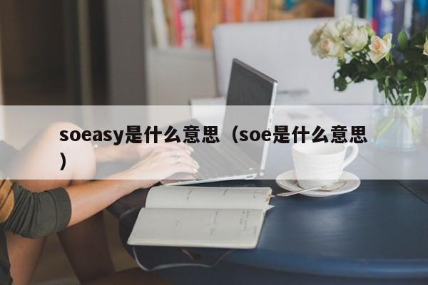 soeasy是什么意思（soe是什么意思）