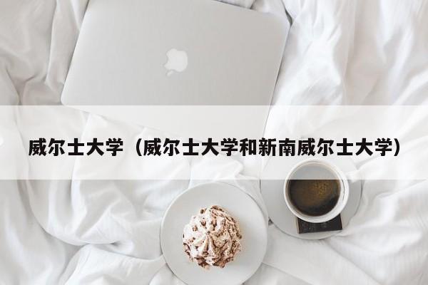 威尔士大学（威尔士大学和新南威尔士大学）