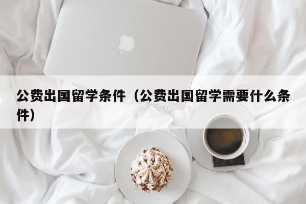 公费出国留学条件（公费出国留学需要什么条件）