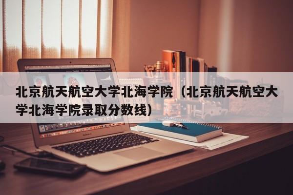 北京航天航空大学北海学院（北京航天航空大学北海学院录取分数线）