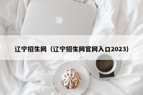 辽宁招生网（辽宁招生网官网入口2023）