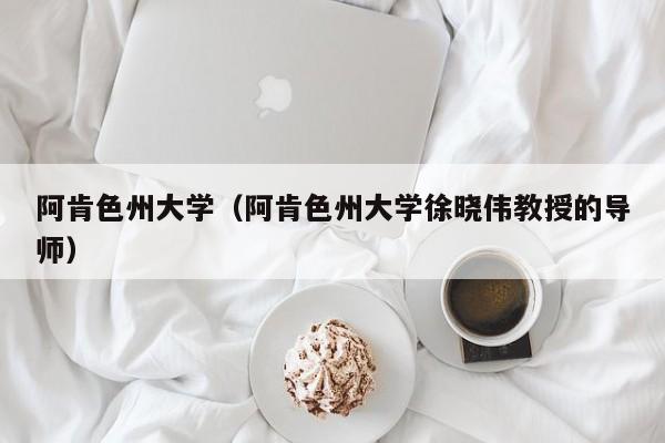 阿肯色州大学（阿肯色州大学徐晓伟教授的导师）