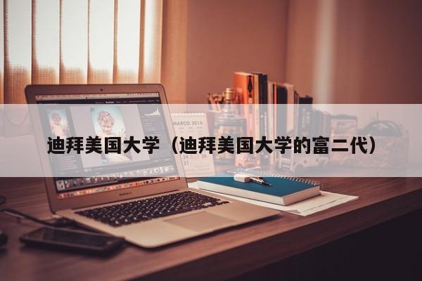 迪拜美国大学（迪拜美国大学的富二代）