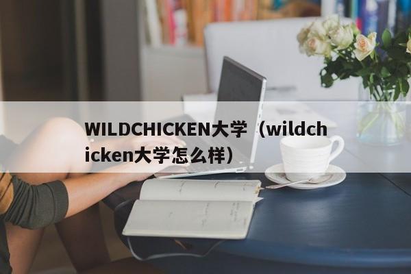 WILDCHICKEN大学（wildchicken大学怎么样）
