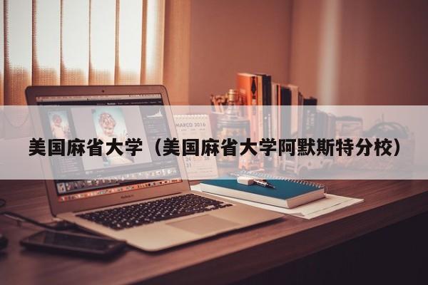 美国麻省大学（美国麻省大学阿默斯特分校）