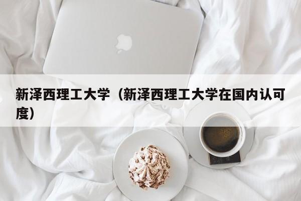 新泽西理工大学（新泽西理工大学在国内认可度）