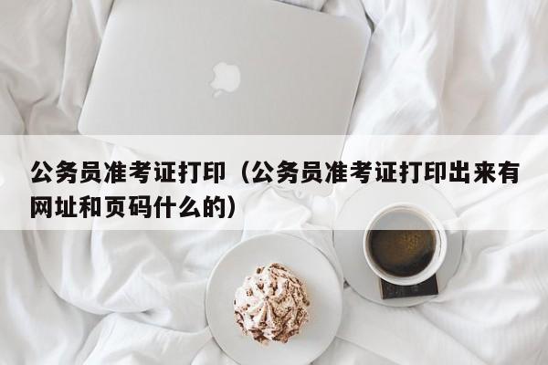 公务员准考证打印（公务员准考证打印出来有网址和页码什么的）