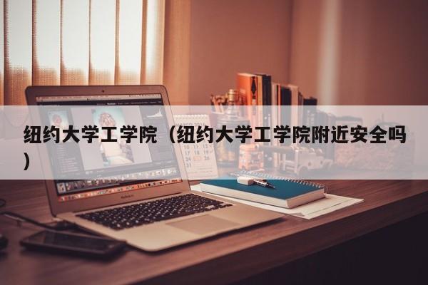 纽约大学工学院（纽约大学工学院附近安全吗）