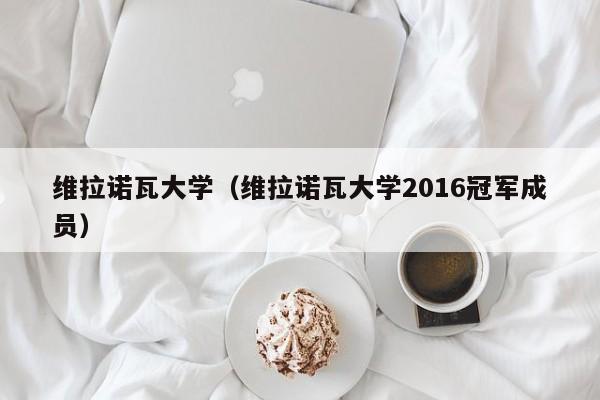 维拉诺瓦大学（维拉诺瓦大学2016冠军成员）