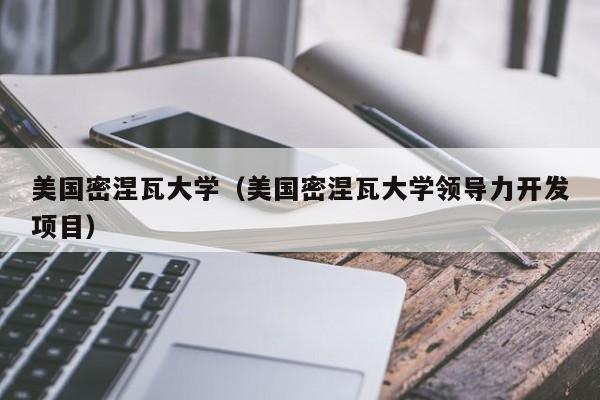 美国密涅瓦大学（美国密涅瓦大学领导力开发项目）