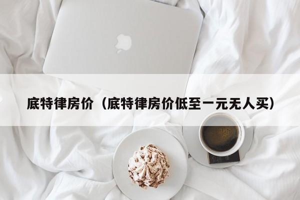 底特律房价（底特律房价低至一元无人买）