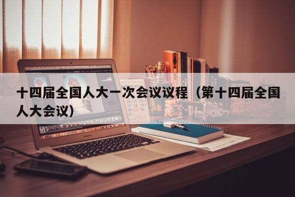 十四届全国人大一次会议议程（第十四届全国人大会议）