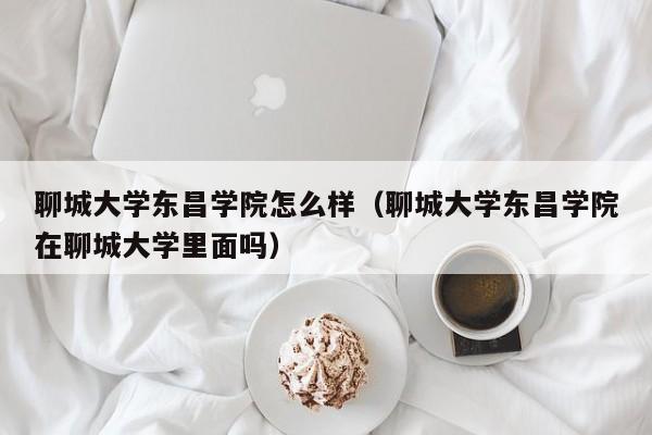 聊城大学东昌学院怎么样（聊城大学东昌学院在聊城大学里面吗）