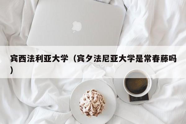 宾西法利亚大学（宾夕法尼亚大学是常春藤吗）