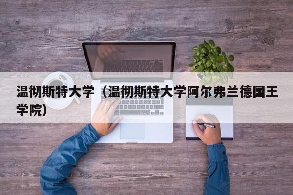 温彻斯特大学（温彻斯特大学阿尔弗兰德国王学院）