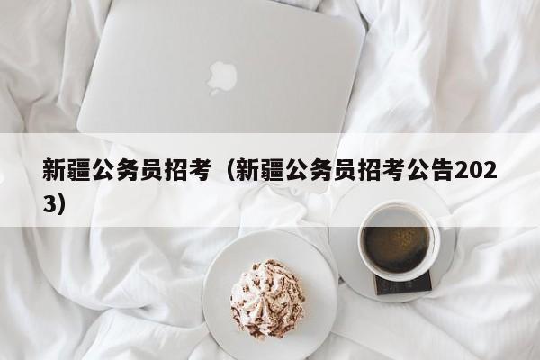 新疆公务员招考（新疆公务员招考公告2023）
