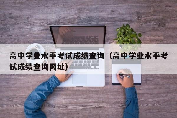 高中学业水平考试成绩查询（高中学业水平考试成绩查询网址）