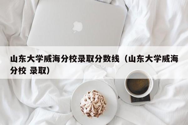 山东大学威海分校录取分数线（山东大学威海分校 录取）