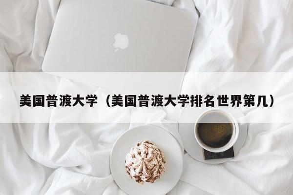 美国普渡大学（美国普渡大学排名世界第几）